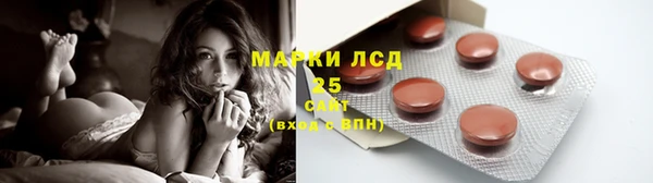 прущие крисы Зеленокумск
